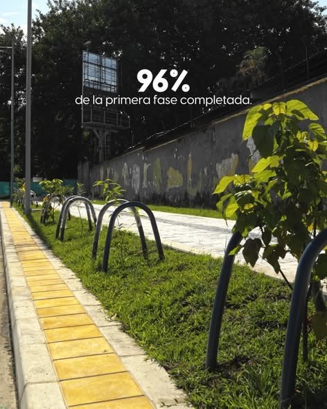 96 % de avance y 50 árboles que ya están echando raíces.
